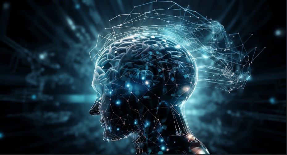 Adaptive Systems and Digital Prediction: How Platforms Learn from Every Choice